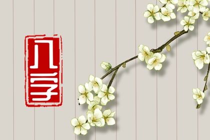 如何阅读一份排盘