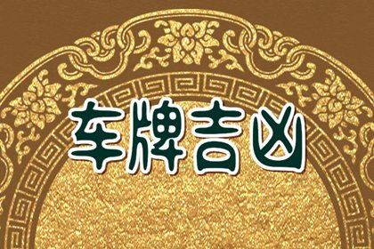 数理分反映什么