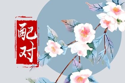 低分婚姻的社交支持