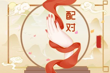 看报告先看哪个栏目