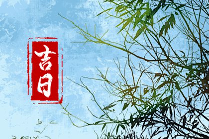 新浪命盘查询,命盘免费算命,紫薇文墨天机排盘,紫薇免费排盘解析