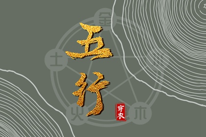 纳音算不算正五行